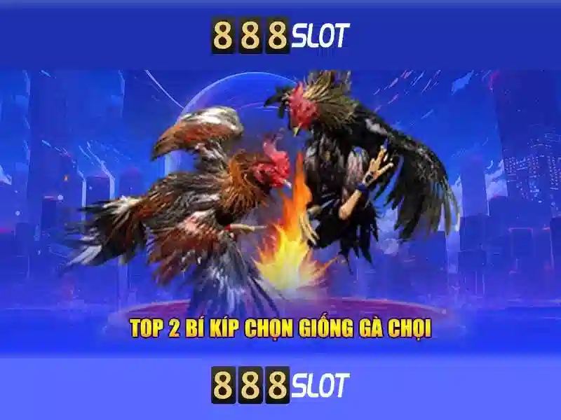 Sản phẩm và dịch vụ cốt lõi: ứng dụng của joker slot 888 v1 