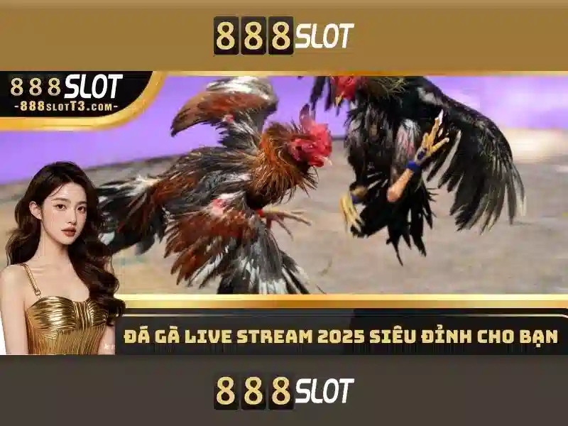 Lịch sử và uy tín của 888slot