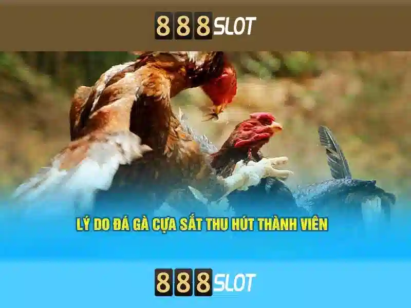 warung slot 888: tổng quan, trải nghiệm warung slot 888 và đánh giá