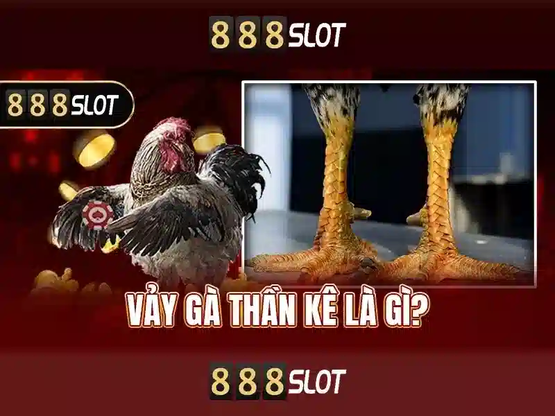 888slot - Đánh giá và Trải nghiệm tại nền tảng slots trực tuyến