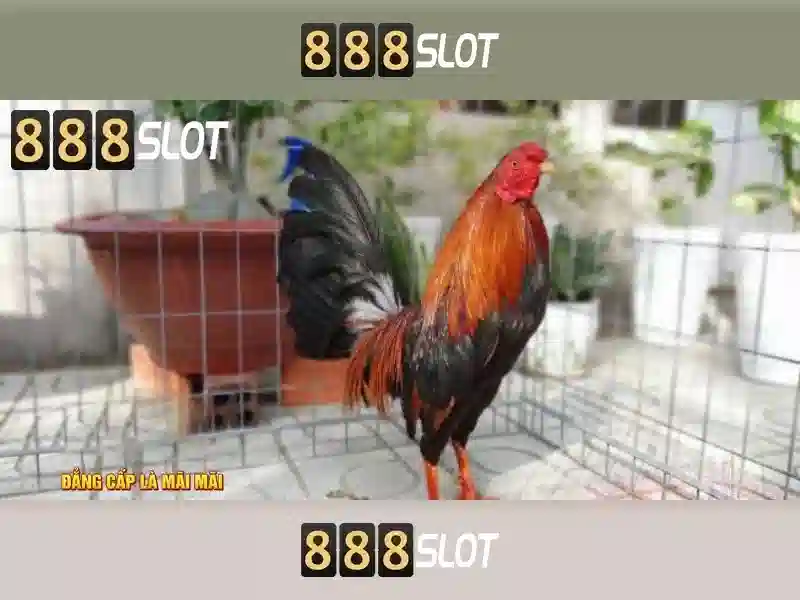 888slot. com – Nền tảng slot hàng đầu với mk slot 888