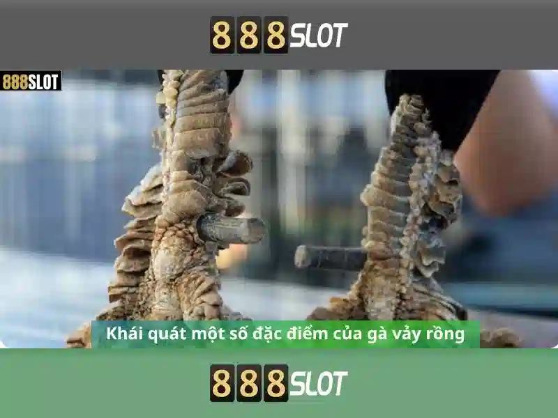 Khám phá 888slot: Nền tảng slot online đáng tin cậy
