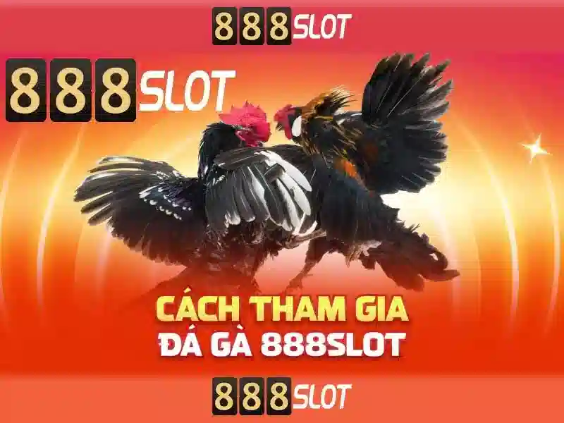 888slot – Tổng quan và trải nghiệm tại Việt Nam