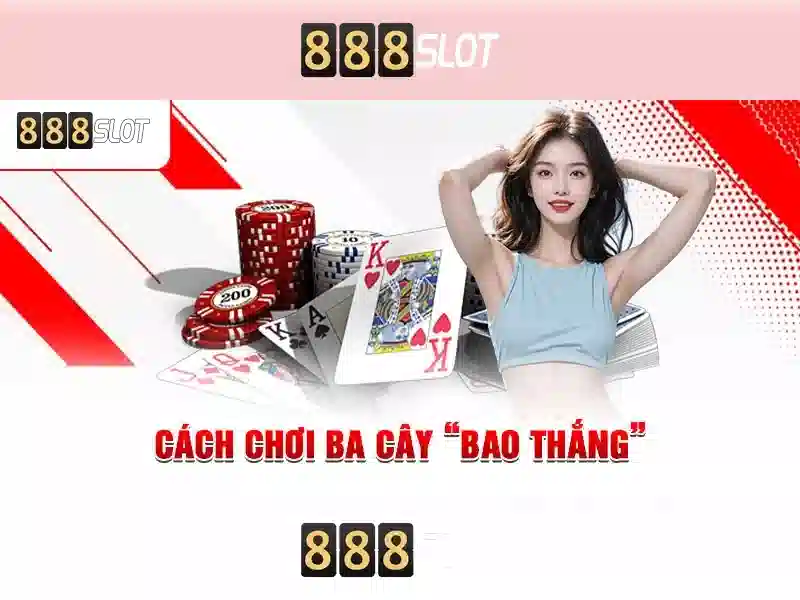Hỗ trợ khách hàng và dịch vụ