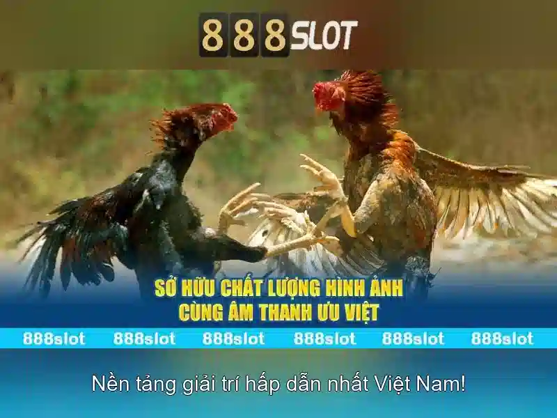 An toàn và bảo mật\n\n<h>Khuyến mãi và hỗ trợ khách hàng</h>\n<p><span style=