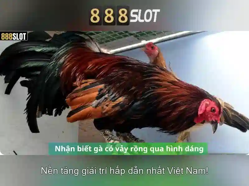 Giao dien va trai nghiem nguoi dung
