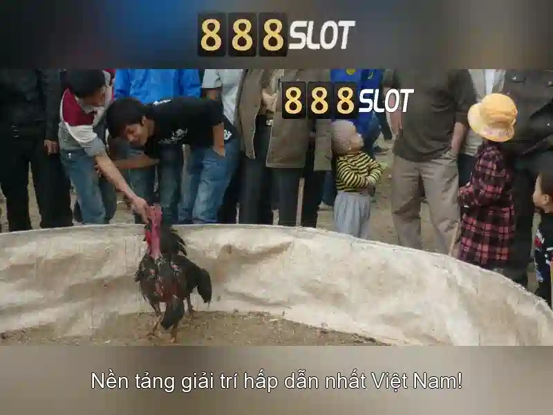 888slot: Đánh giá và Trải nghiệm