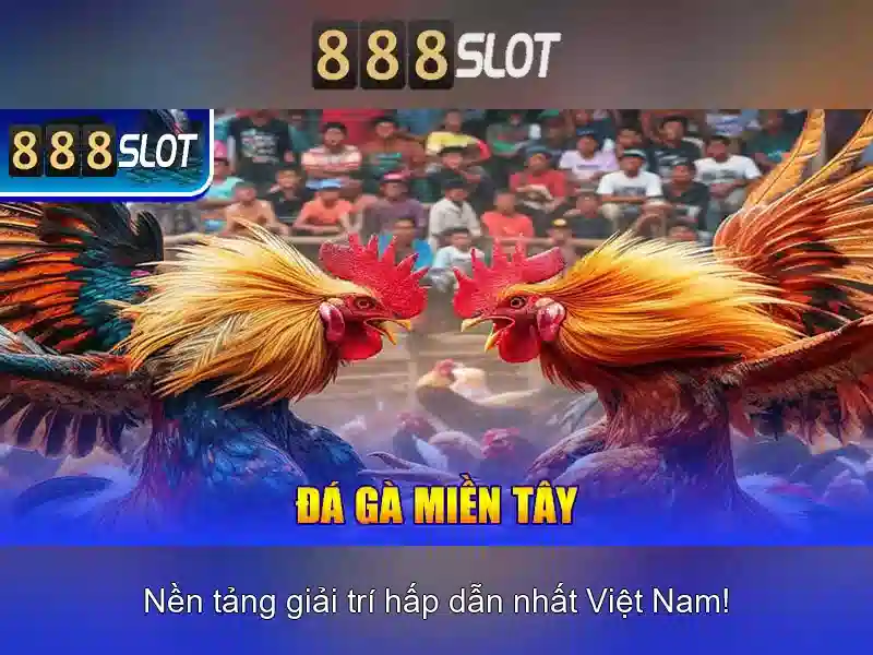 Khuyến mãi và chương trình thưởng
