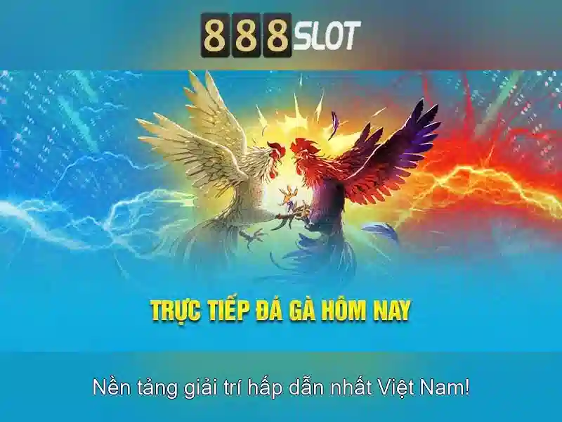 Trải nghiệm người dùng và giao diện